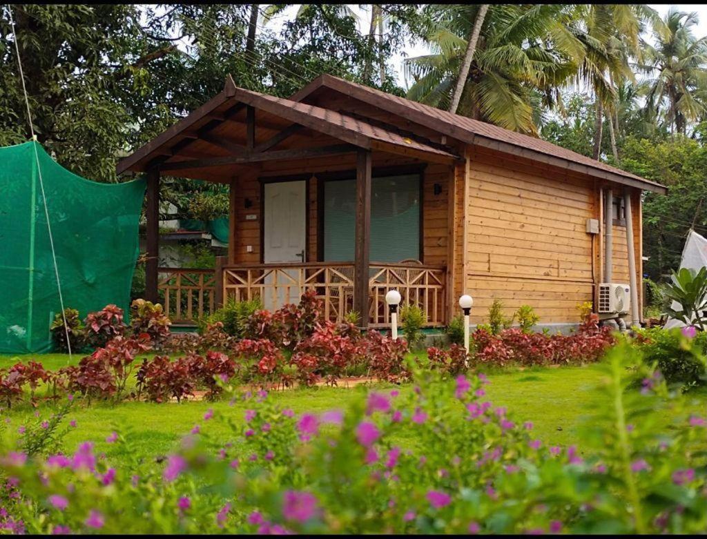 Golden Sands Resort, 莫尔吉姆 外观 照片